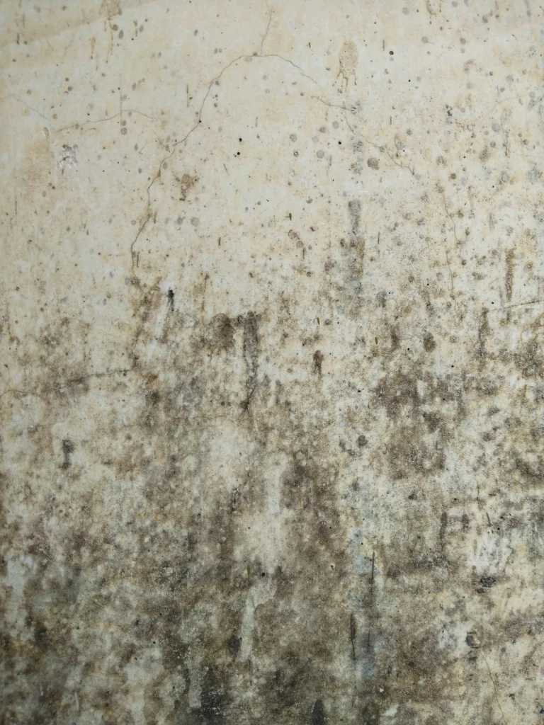 Cavity Wall Damage Claims